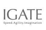 IGATE Speed Agility Imagination
